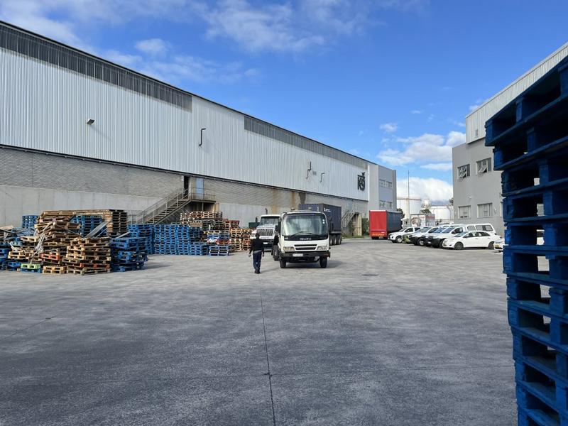 To Let commercial Property for Rent in Montague Gardens Western Cape